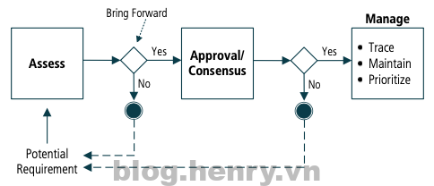 Requirements Life Cycle Management